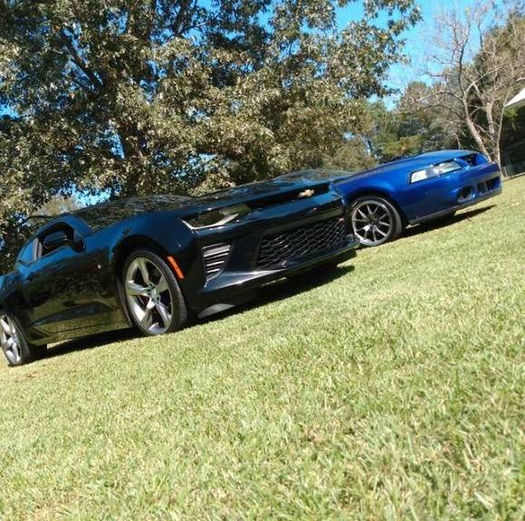 Meet your Posher, Dustin - Picture 1 of 1